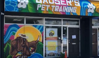 Bauser's Pet Training