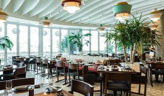 Novikov Miami