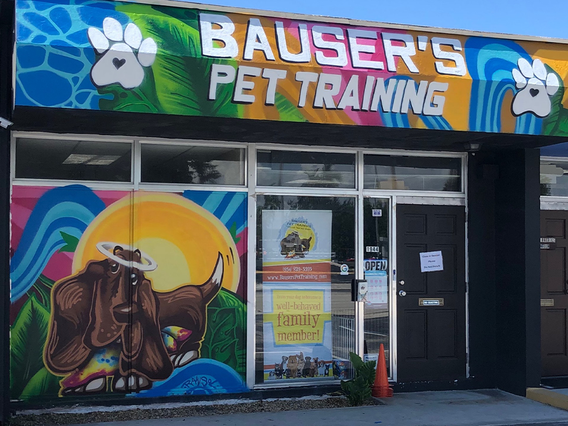 Bauser's Pet Training photo