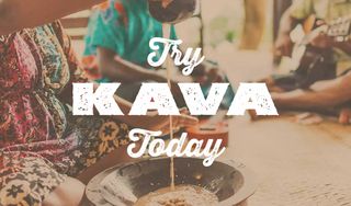 Kavasutra Kava Bar - Deerfield