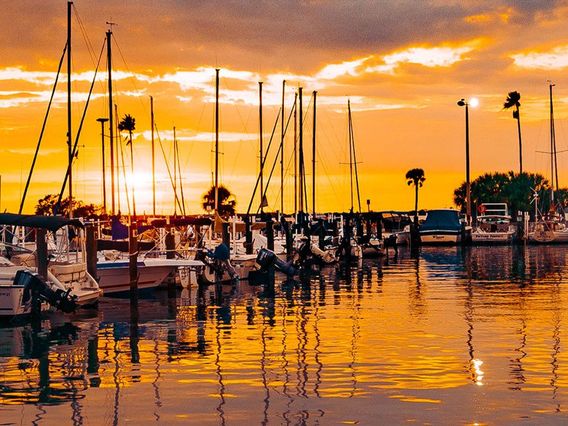 Dunedin Marina photo