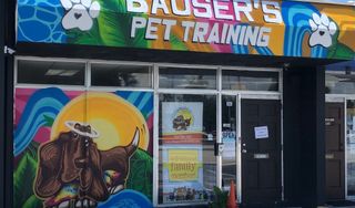 Bauser's Pet Training