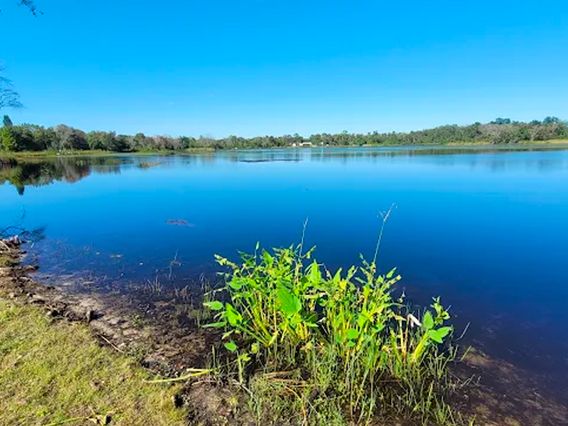 Red Bug Lake Park photo