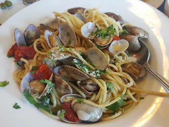 Terramia Brick Oven Pizza & Trattoria photo