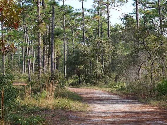 Econ River Wilderness Area photo