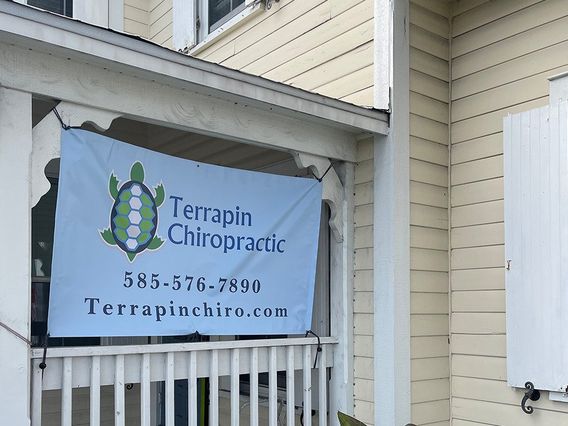 Terrapin Chiropractic photo