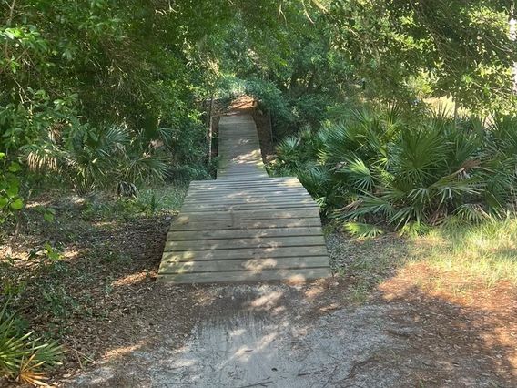 Markham Trailhead and Mountain Bike Skills photo