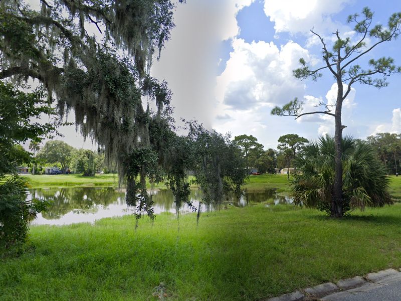 Lake Wildwood Park photo