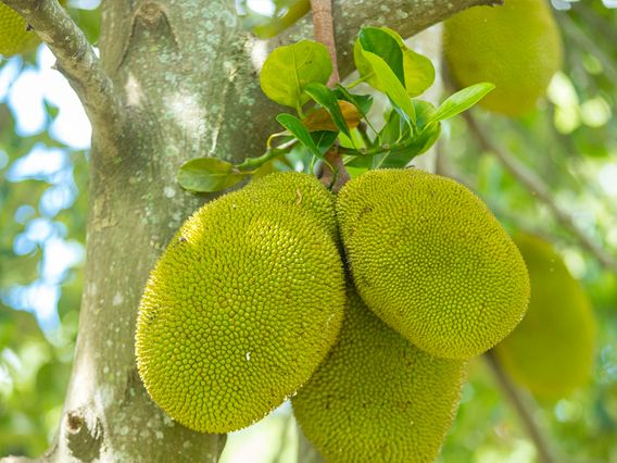Miami Gardens Focal Point Senior Center photo
