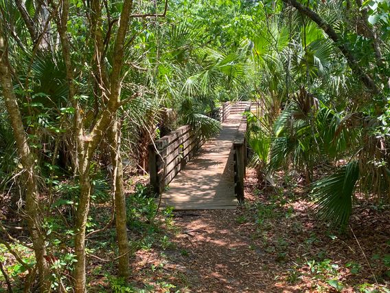 Black Hammock Trailhead photo