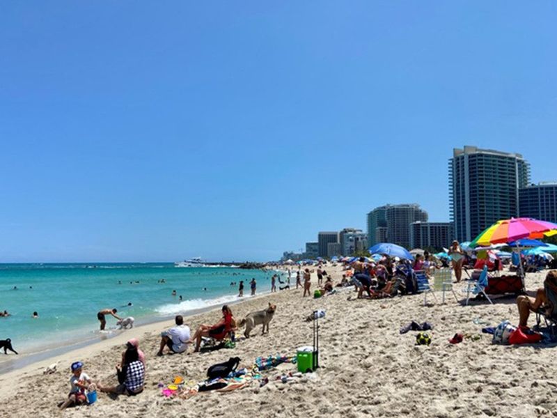Haulover Beach Park photo