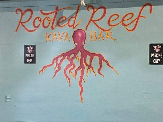 Rooted Reef Kava bar photo