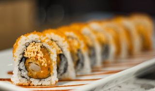 Sushi Runner Miami Lakes