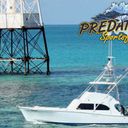 Predator Sportfishing logo