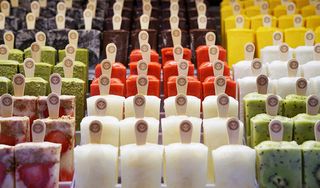 Morelia Ice Cream Paletas