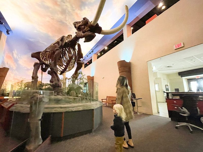 The Bishop Museum of Science and Nature  photo