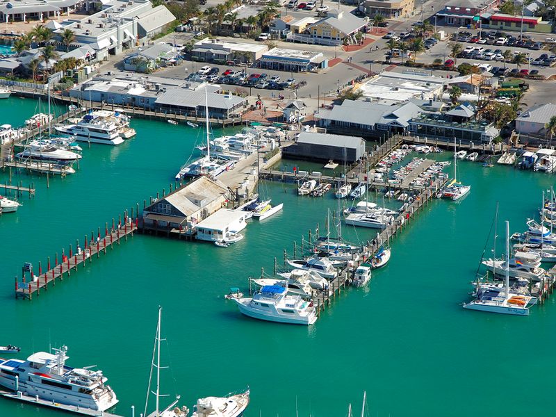 Key West Bight Marina photo