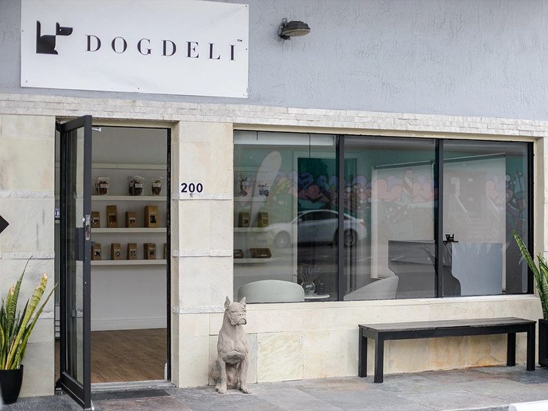 DOGDELI photo