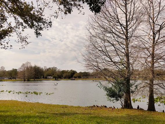 Lake Dot Park photo
