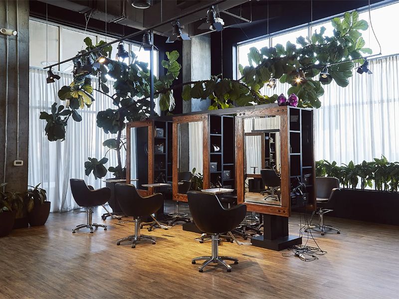 Salon 8 photo