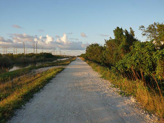 Biscayne-Everglades Greenway photo