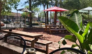 Celery City Craft Beer Garden