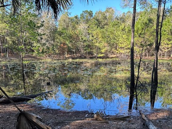 Markham Trailhead and Mountain Bike Skills photo