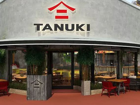 Tanuki photo