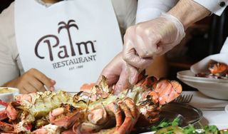 The Palm