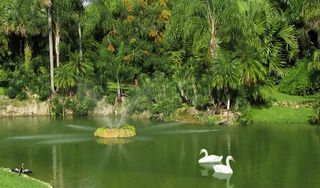 Pinecrest Gardens