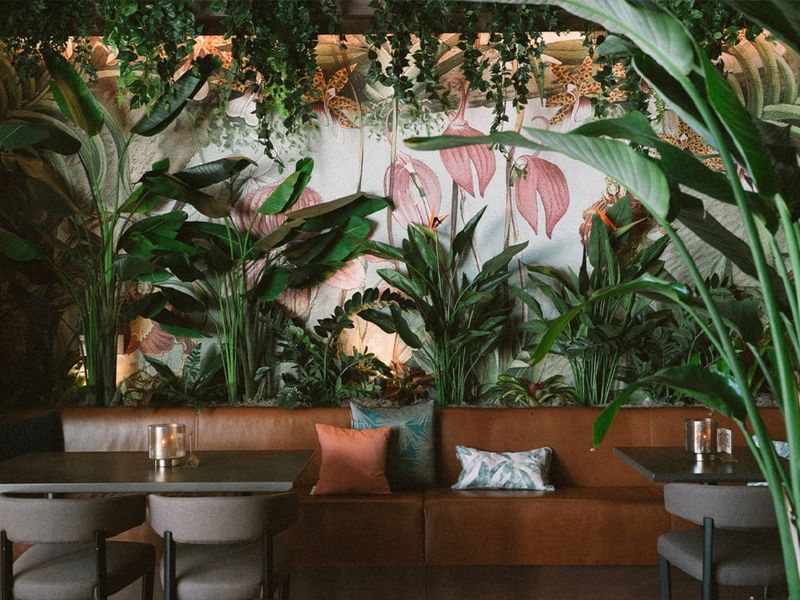 Mamey Miami photo