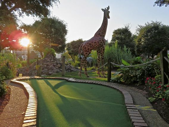 Jungle Golf photo