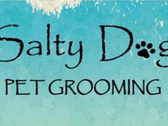 Salty Dog Pet Grooming photo