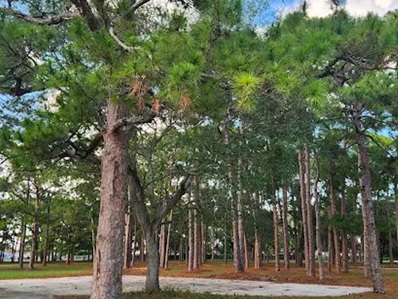 Vista Verde Park photo