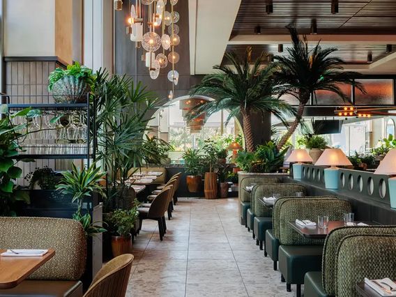 Earls Kitchen + Bar photo