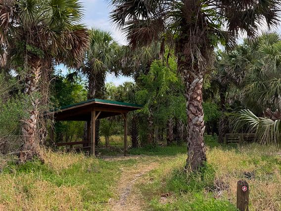 Lake Jesup Wilderness Area photo