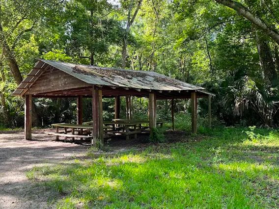 Spring Hammock Preserve photo