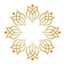 Ziba Luxury Salon & Spa logo