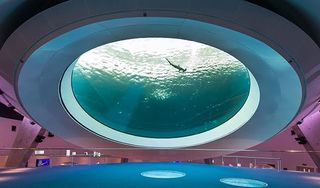 Frost Museum of Science