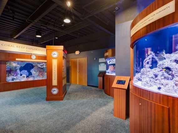 Keys History & Discovery Center photo