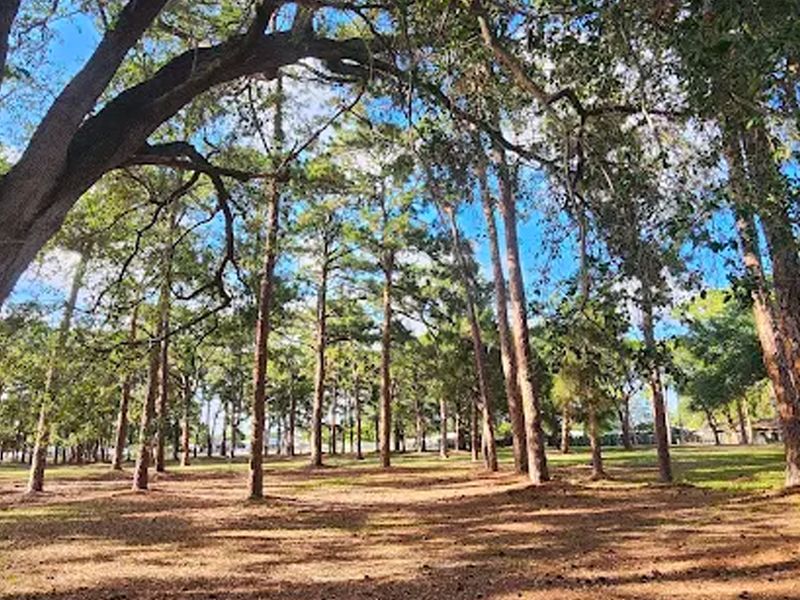 Vista Verde Park photo