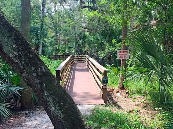 Black Bear Wilderness Area photo