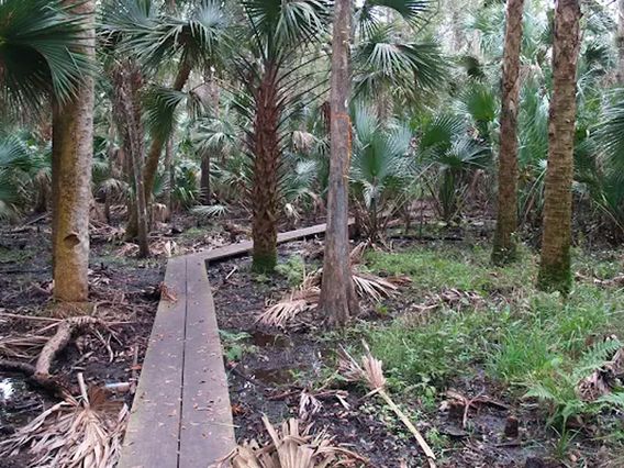 Black Bear Wilderness Area photo