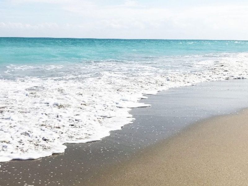 Gulfstream Beach photo