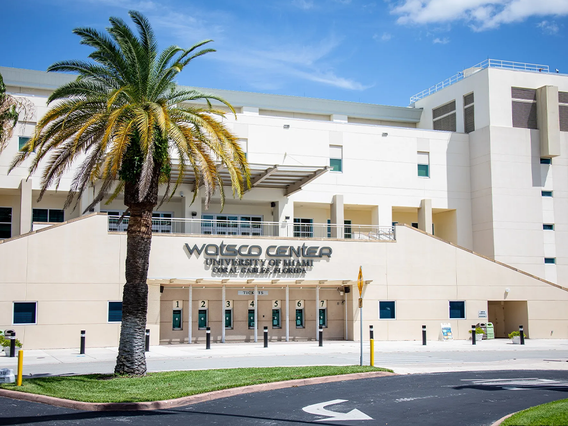 Watsco Center photo