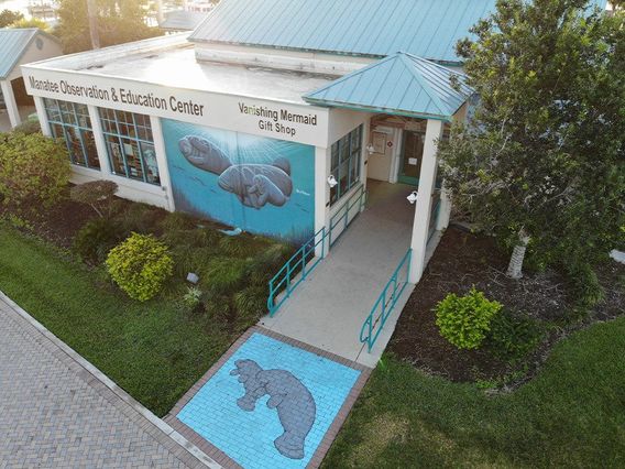 Manatee Observation and Education Center photo