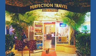 Perfection Travel