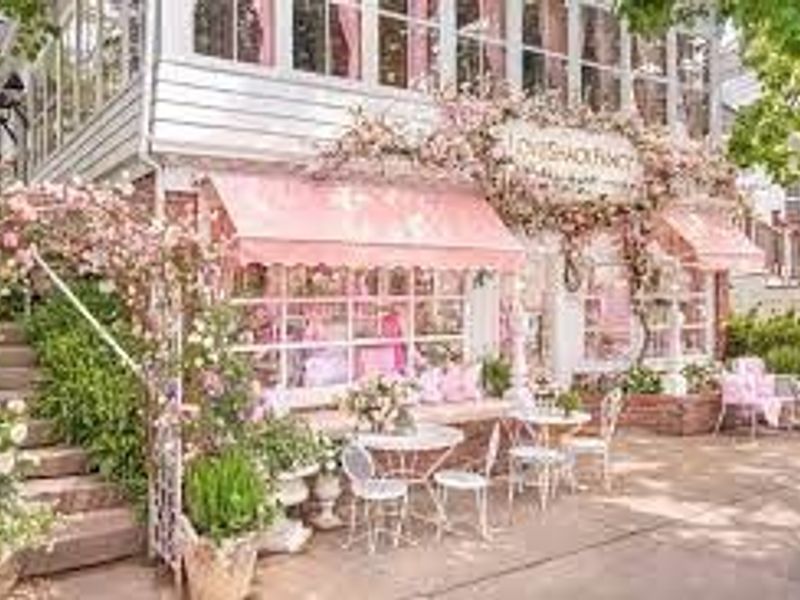 Love Shack Fancy photo