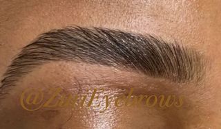 Zuri Lash and Brow Studio