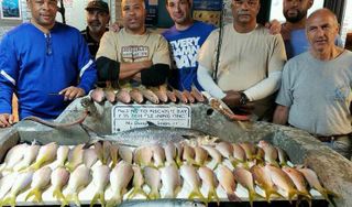 Kelley Fishing Fleet